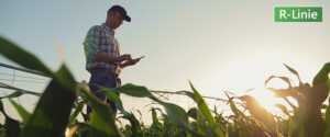Eine Person mit Mütze und kariertem Hemd steht bei Sonnenuntergang in einem Maisfeld und verwendet ein mobiles Gerät, um auf ERP-Daten zuzugreifen. Grüne Pflanzen umgeben sie, und in der oberen rechten Ecke erscheint ein Schild mit R-Linie.
